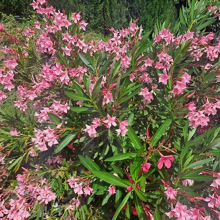 Le Gite Calluna Sablet Luaran gambar